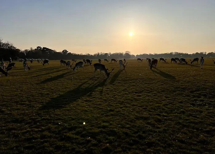 Modern 10min From Center With Parking Apartment *